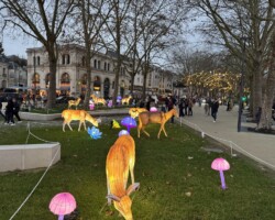 Les Lumières de Noël 4