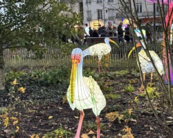 Les Lumières de Noël 3