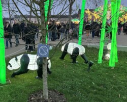 Les Lumières de Noël 9