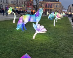 Les Lumières de Noël 6 La place du 11-Novembre devient un jardin de lanternes géantes, peuplé d’animaux fantastiques, de fleurs lumineuses, de papillons et de formes oniriques, et on comprend vite pourquoi les enfants marchent un peu plus lentement, comme s’ils voulaient que ça dure.