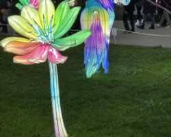 Les Lumières de Noël 2