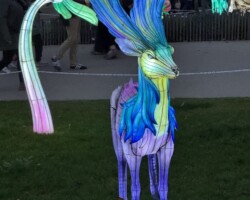 Les Lumières de Noël 8