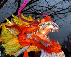 Les Lumières de Noël 11 Les Lumières de Laval, décembre 2025