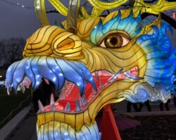 Les Lumières de Noël 10