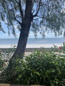 Voyage à Zanzibar 40