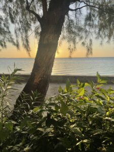 Voyage à Zanzibar 39