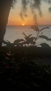 Voyage à Zanzibar 38