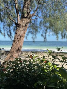 Voyage à Zanzibar 37