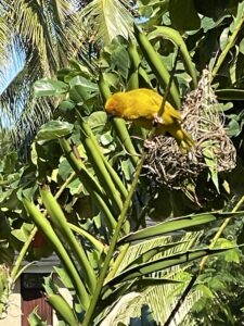 Voyage à Zanzibar 36