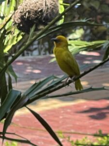 Voyage à Zanzibar 35