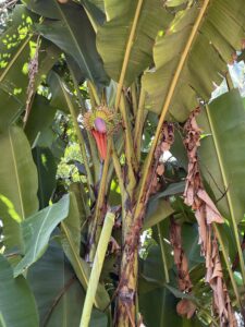 Voyage à Zanzibar 24