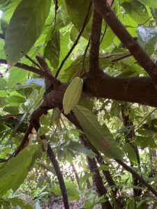 Voyage à Zanzibar 22