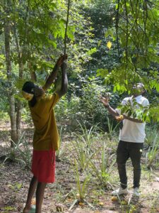 Voyage à Zanzibar 21
