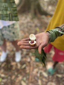 Voyage à Zanzibar 20