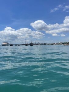 Voyage à Zanzibar 17