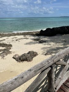 Voyage à Zanzibar 15