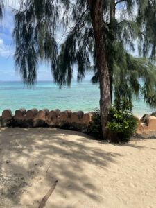 Voyage à Zanzibar 14