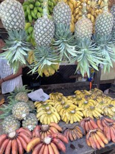 Voyage à Zanzibar 7