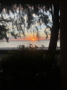 Voyage à Zanzibar 6